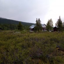 27.06.2020
