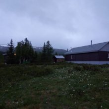 19.06.2020